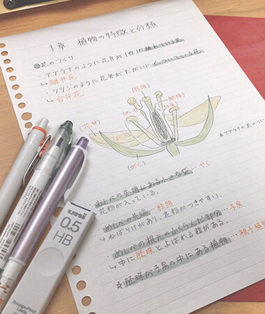 @treefrog0507さん