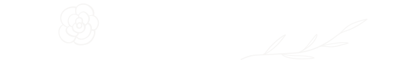 ド直球ノート派